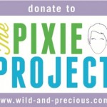 The Pixie Project